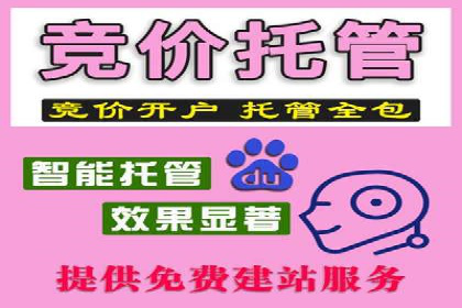 SEM代运营实战：数据分析助力广告优化